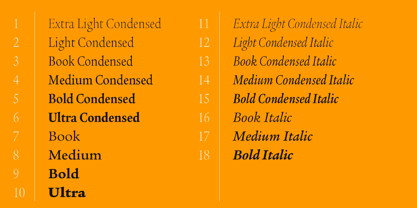ITC Legacy Serif Font Poster 5